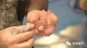 1515122550125330.jpg 2.jpg